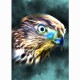 GREETING CARD BIRDS Eagle Head
